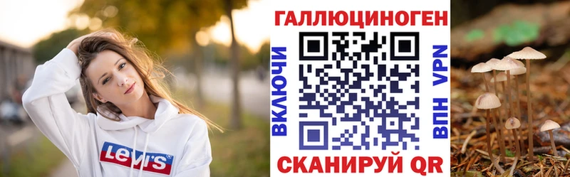 Псилоцибиновые грибы мицелий  Купить где  Избербаш 